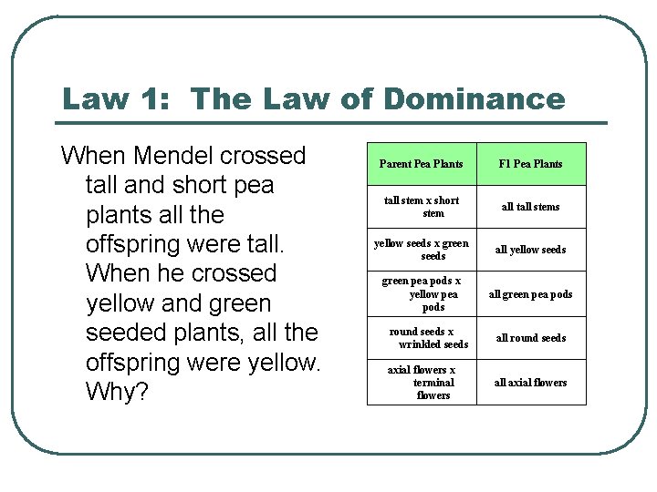 Law 1: The Law of Dominance When Mendel crossed tall and short pea plants