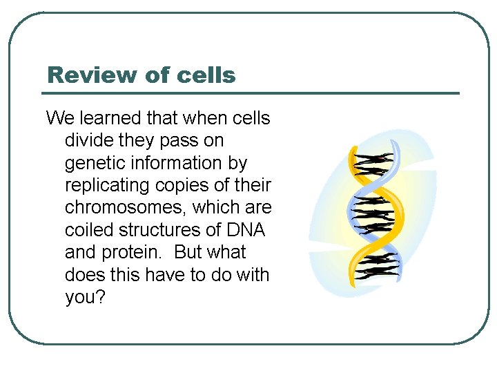 Review of cells We learned that when cells divide they pass on genetic information