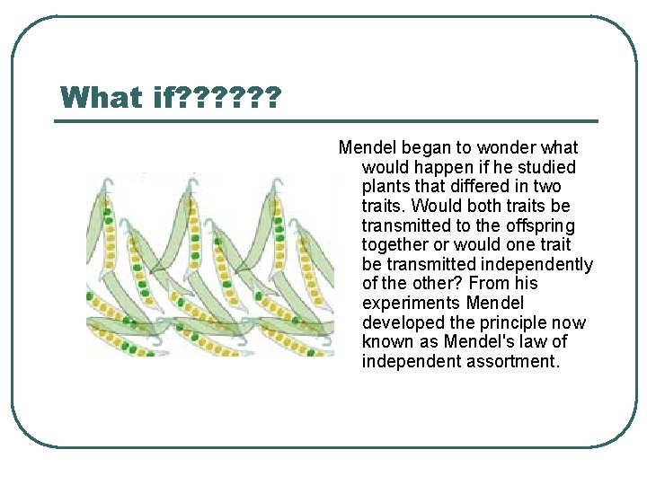 What if? ? ? Mendel began to wonder what would happen if he studied