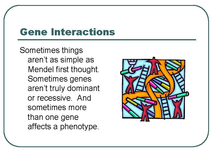 Gene Interactions Sometimes things aren’t as simple as Mendel first thought. Sometimes genes aren’t