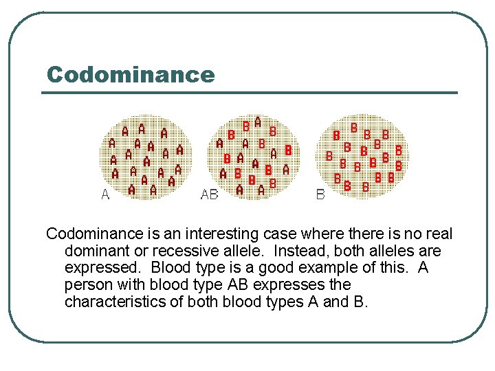 Codominance is an interesting case where there is no real dominant or recessive allele.