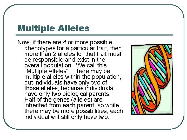 Multiple Alleles Now, if there are 4 or more possible phenotypes for a particular