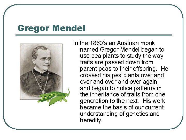 Gregor Mendel In the 1860’s an Austrian monk named Gregor Mendel began to use