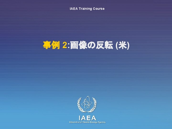 IAEA Training Course 事例 2: 画像の反転 (米) IAEA International Atomic Energy Agency 