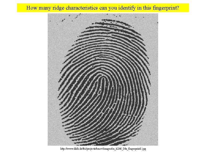 How many ridge characteristics can you identify in this fingerprint? http: //www. dkfz. de/tbi/projects/bmcv/images/iu_it