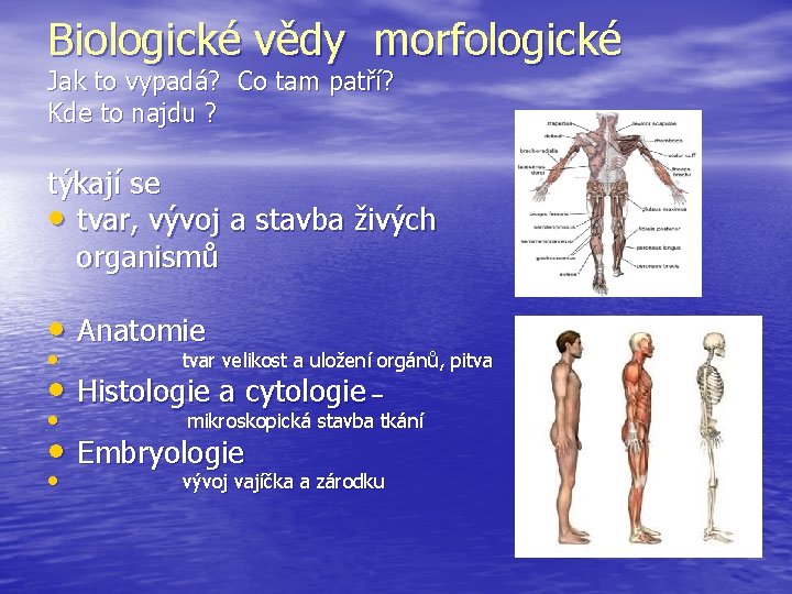 Biologické vědy morfologické Jak to vypadá? Co tam patří? Kde to najdu ? týkají