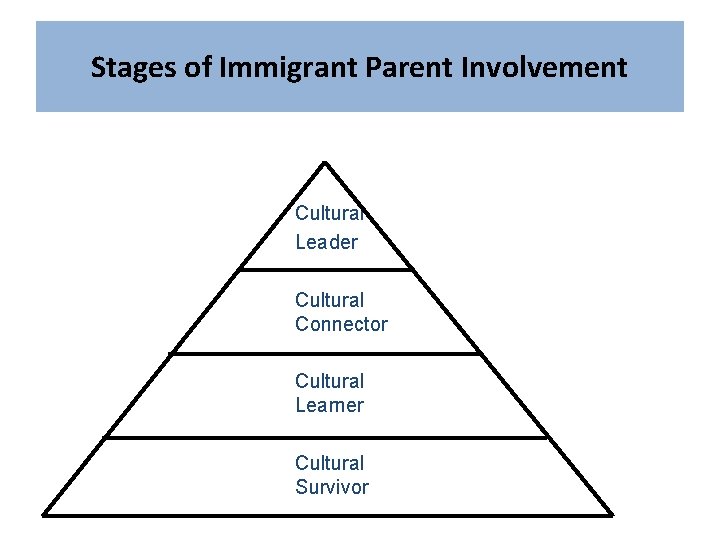 Stages of Immigrant Parent Involvement Cultural Leader Cultural Connector Cultural Learner Cultural Survivor 