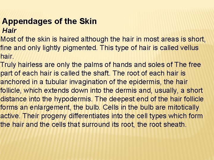 Appendages of the Skin Hair Most of the skin is haired although the hair