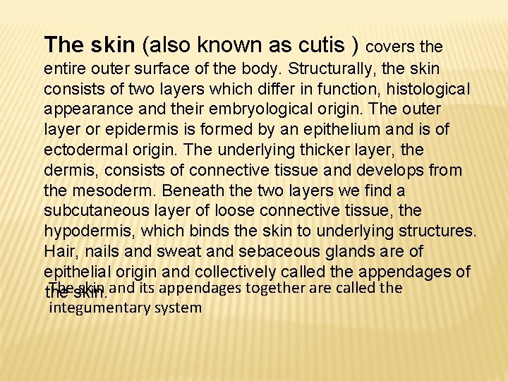 The skin (also known as cutis ) covers the entire outer surface of the