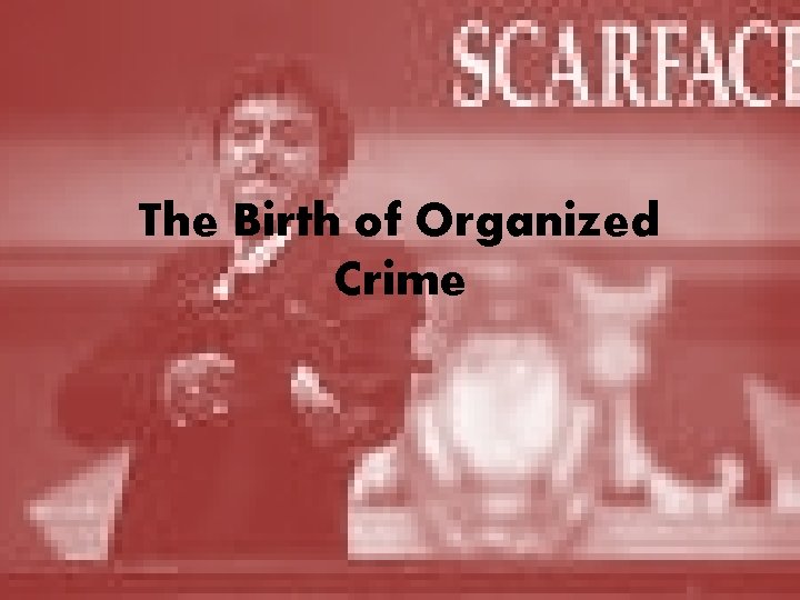 The Birth of Organized Crime 