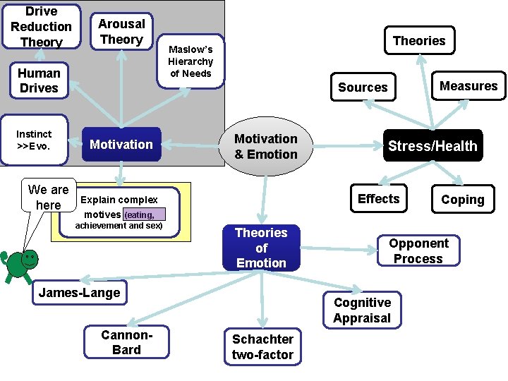 Drive Reduction Theory Arousal Theory Human Drives Instinct >>Evo. We are here Theories Maslow’s