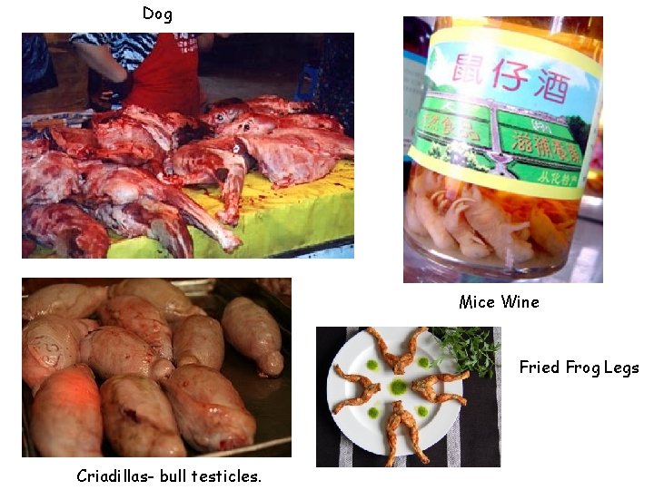 Dog Mice Wine Fried Frog Legs Criadillas- bull testicles. 