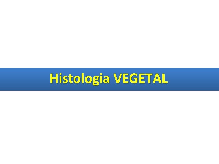 Histologia VEGETAL 