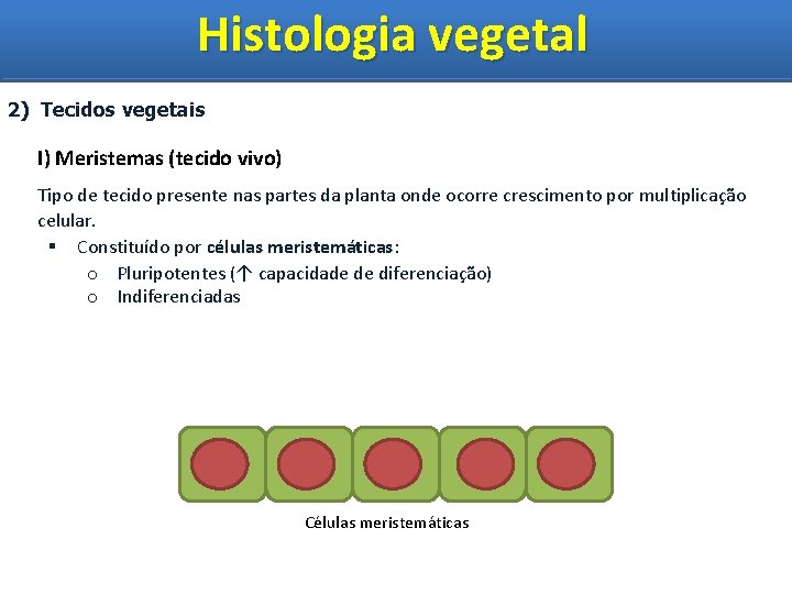 Histologia vegetal Histologia Vegetal 2) Tecidos vegetais I) Meristemas (tecido vivo) Tipo de tecido