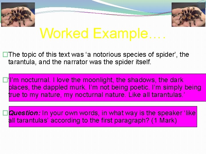 Worked Example…. �The topic of this text was ‘a notorious species of spider’, the