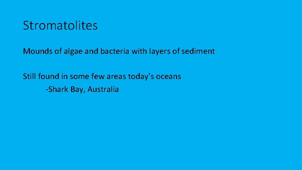 Stromatolites Mounds of algae and bacteria with layers of sediment Still found in some