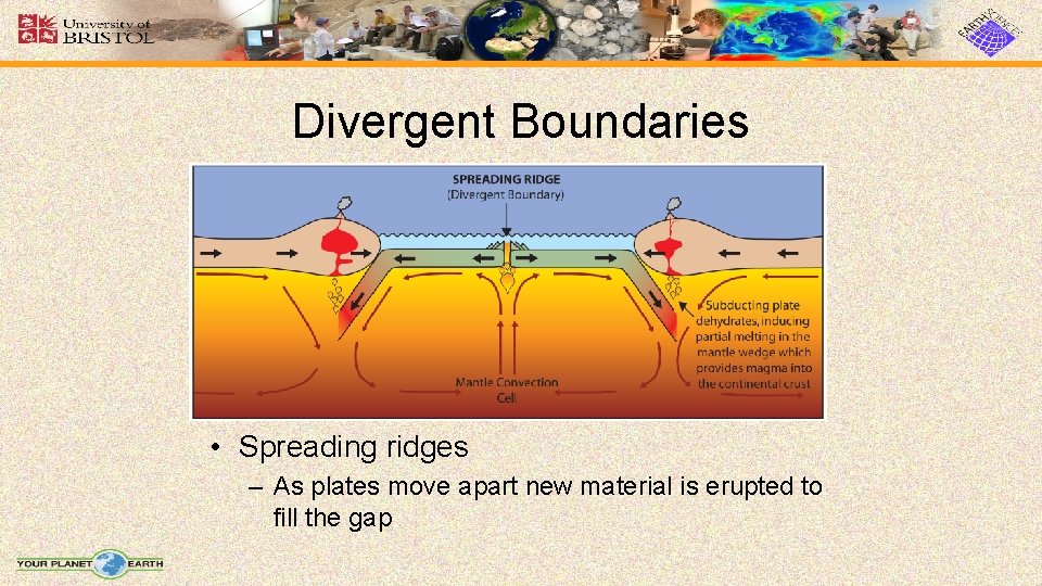 Divergent Boundaries • Spreading ridges – As plates move apart new material is erupted