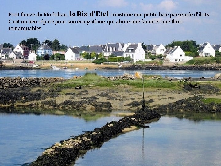 Petit fleuve du Morbihan, la Ria d'Etel constitue une petite baie parsemée d'îlots. C'est