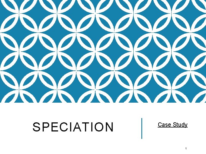 SPECIATION Case Study 1 