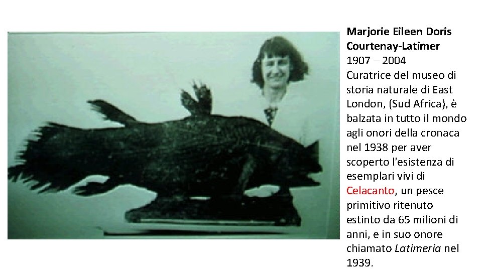 Marjorie Eileen Doris Courtenay-Latimer 1907 – 2004 Curatrice del museo di storia naturale di