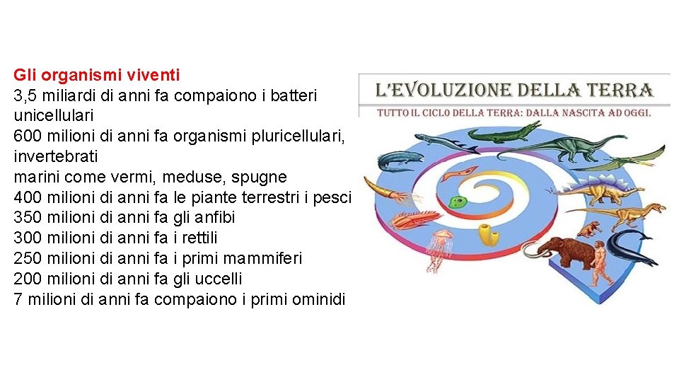 Gli organismi viventi 3, 5 miliardi di anni fa compaiono i batteri unicellulari 600