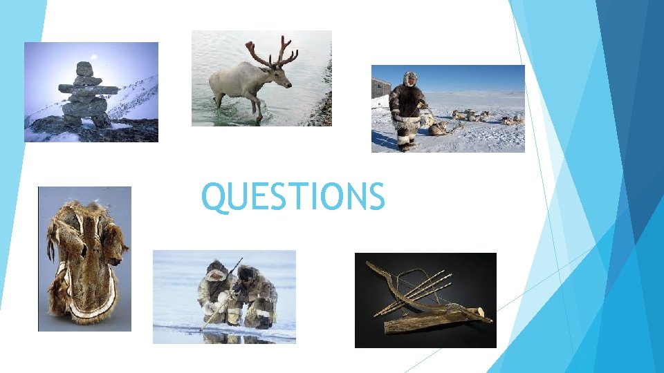 QUESTIONS 