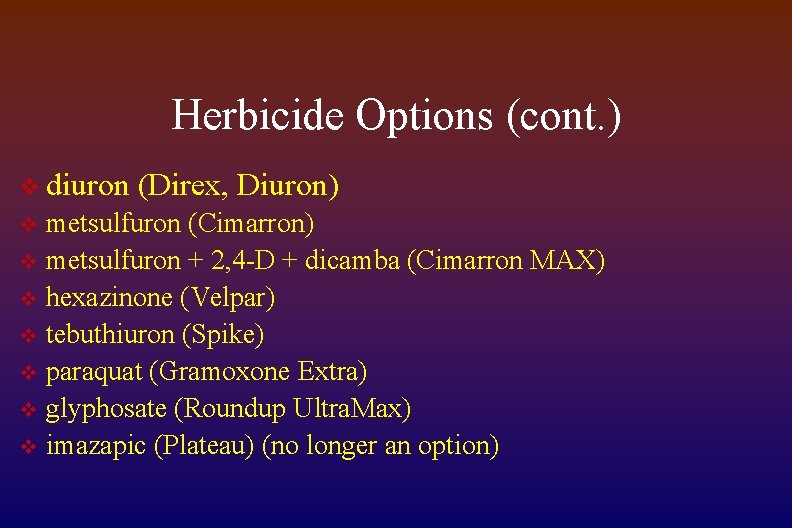 Herbicide Options (cont. ) v diuron (Direx, Diuron) metsulfuron (Cimarron) v metsulfuron + 2,