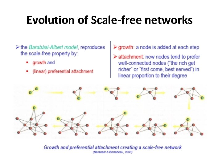 Evolution of Scale-free networks 