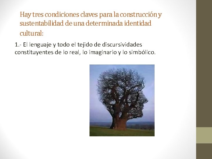 Hay tres condiciones claves para la construcción y sustentabilidad de una determinada identidad cultural: