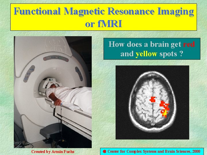 Functional Magnetic Resonance Imaging or f. MRI How does a brain get red and