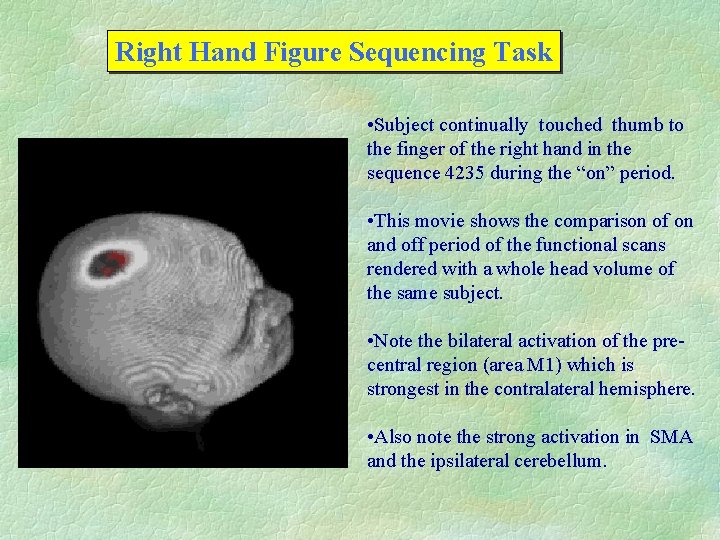 Right Hand Figure Sequencing Task • Subject continually touched thumb to the finger of