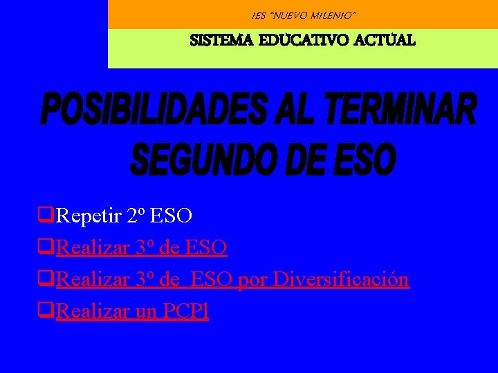 IES “NUEVO MILENIO” SISTEMA EDUCATIVO ACTUAL q. Repetir 2º ESO q. Realizar 3º de