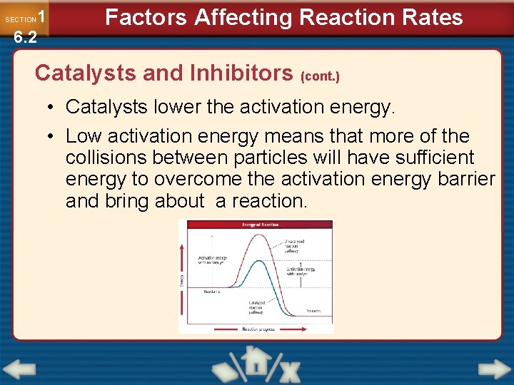 1 6. 2 SECTION Factors Affecting Reaction Rates Catalysts and Inhibitors (cont. ) •