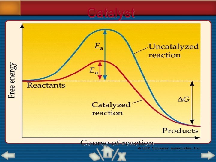 Catalyst 