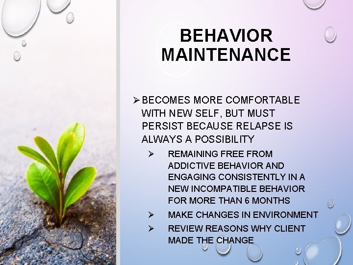 BEHAVIOR MAINTENANCE Ø BECOMES MORE COMFORTABLE WITH NEW SELF, BUT MUST PERSIST BECAUSE RELAPSE