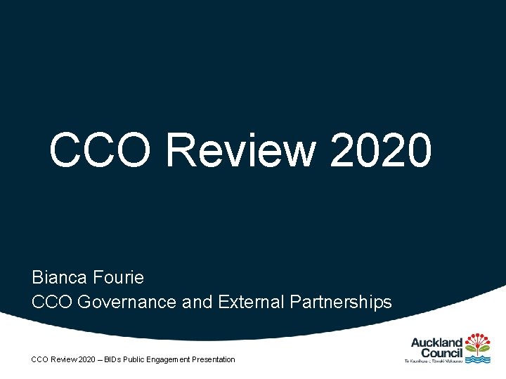 CCO Review 2020 Bianca Fourie CCO Governance and External Partnerships CCO Review 2020 –