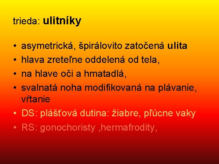 trieda: ulitníky • • asymetrická, špirálovito zatočená ulita hlava zreteľne oddelená od tela, na