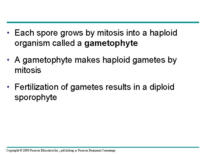  • Each spore grows by mitosis into a haploid organism called a gametophyte