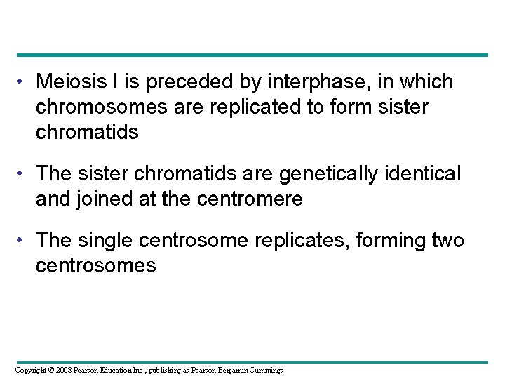  • Meiosis I is preceded by interphase, in which chromosomes are replicated to