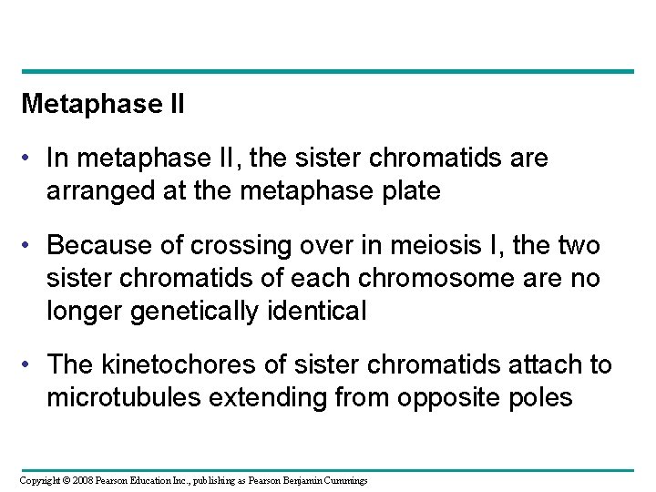 Metaphase II • In metaphase II, the sister chromatids are arranged at the metaphase