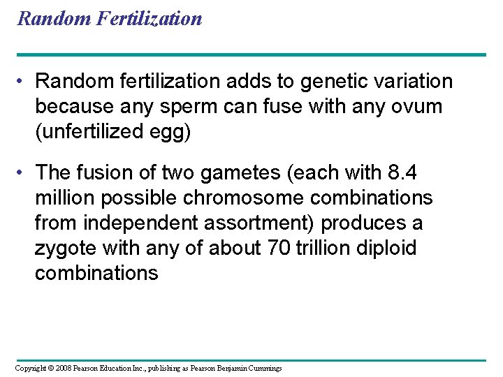 Random Fertilization • Random fertilization adds to genetic variation because any sperm can fuse