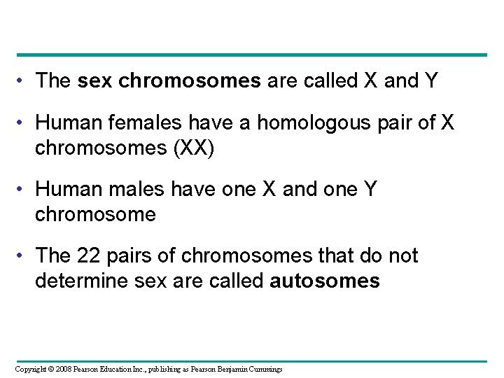  • The sex chromosomes are called X and Y • Human females have