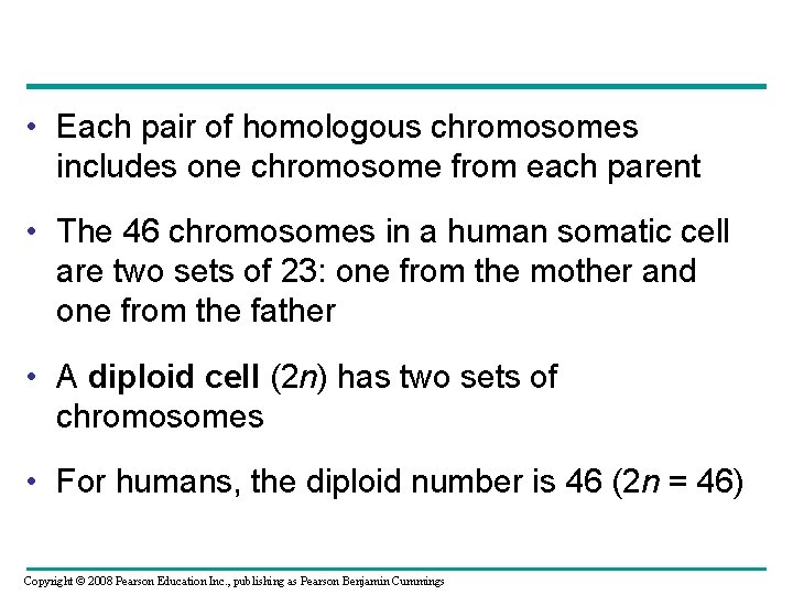 • Each pair of homologous chromosomes includes one chromosome from each parent •