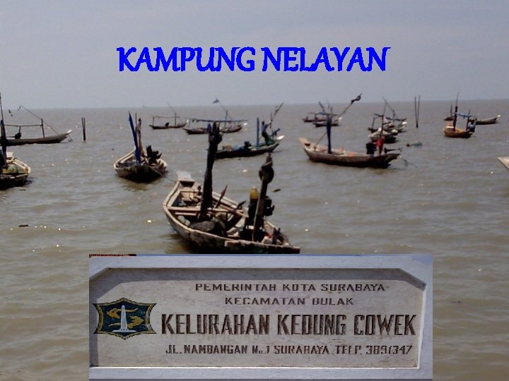 KAMPUNG NELAYAN 