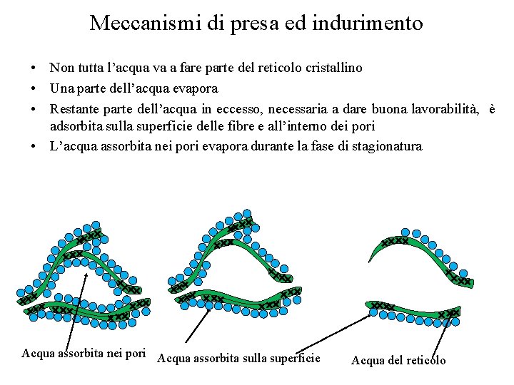 Meccanismi di presa ed indurimento • Non tutta l’acqua va a fare parte del