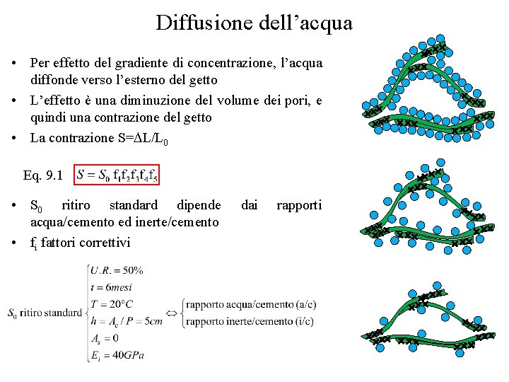 Diffusione dell’acqua • Per effetto del gradiente di concentrazione, l’acqua diffonde verso l’esterno del