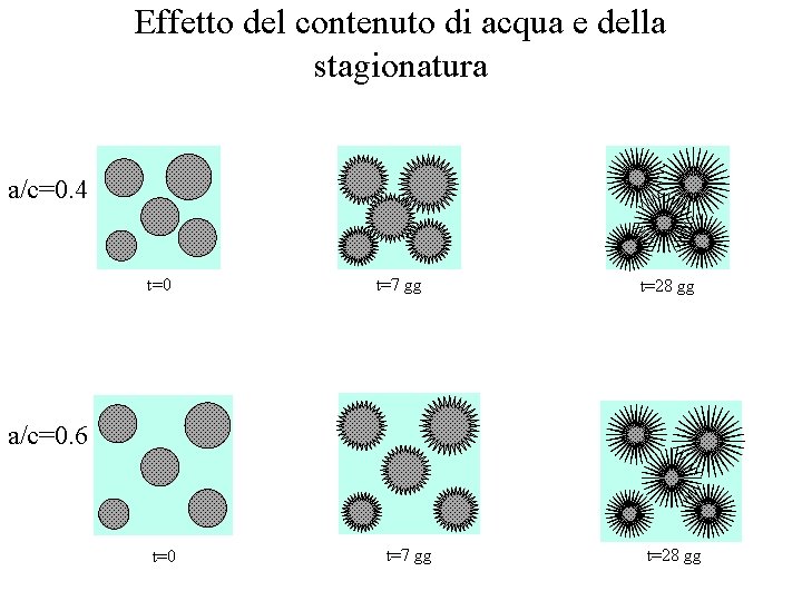 Effetto del contenuto di acqua e della stagionatura a/c=0. 4 t=0 t=7 gg t=28