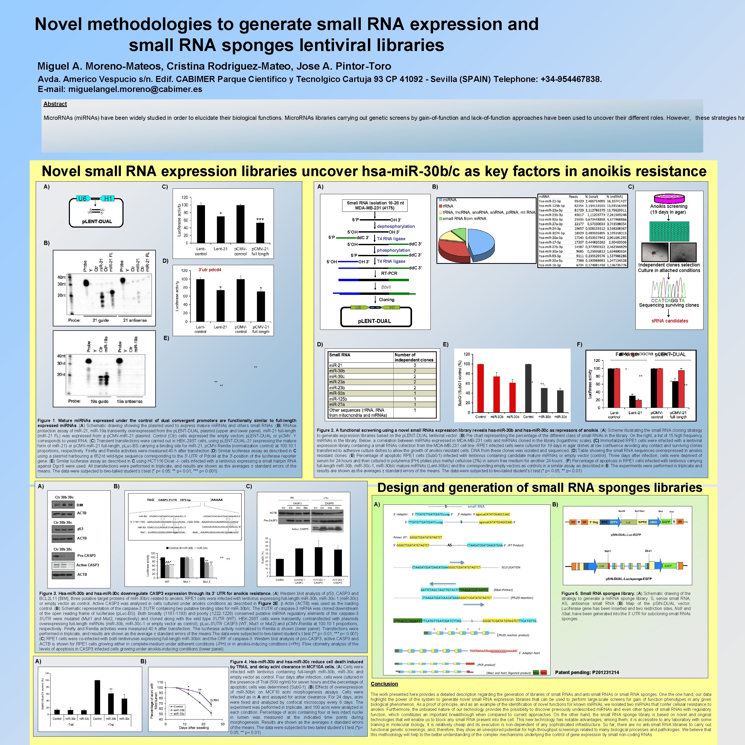 Small Rnas Book Novel methodologies to generate small RNA expression and