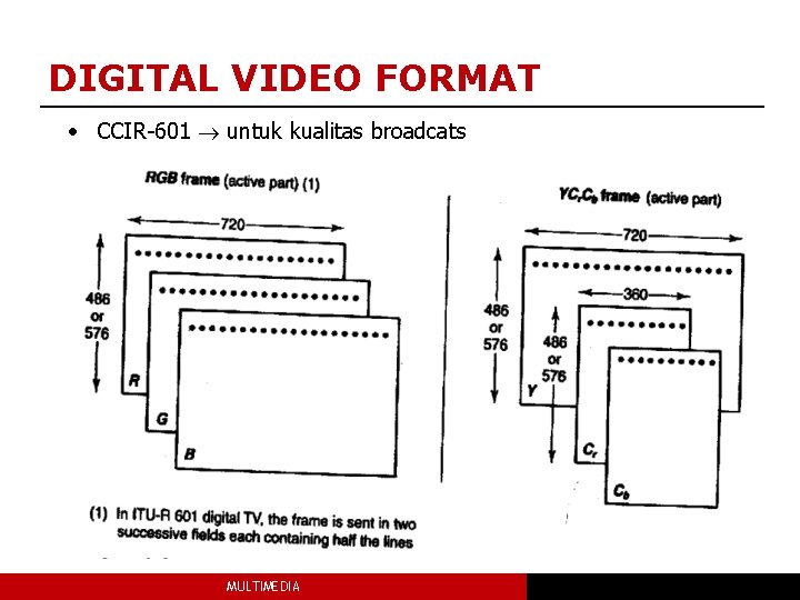 DIGITAL VIDEO FORMAT • CCIR-601 untuk kualitas broadcats MULTIMEDIA 