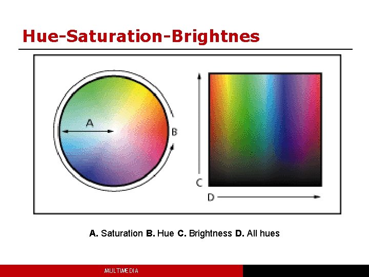 Hue-Saturation-Brightnes A. Saturation B. Hue C. Brightness D. All hues MULTIMEDIA 